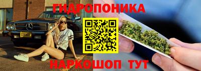 гидра Ливны