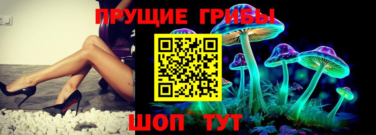 Псилоцибиновые грибы мицелий  Вход с VPN  Уссурийск 
